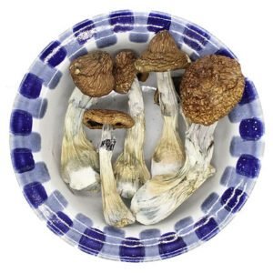 Blue Goba