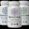 SoulCybin